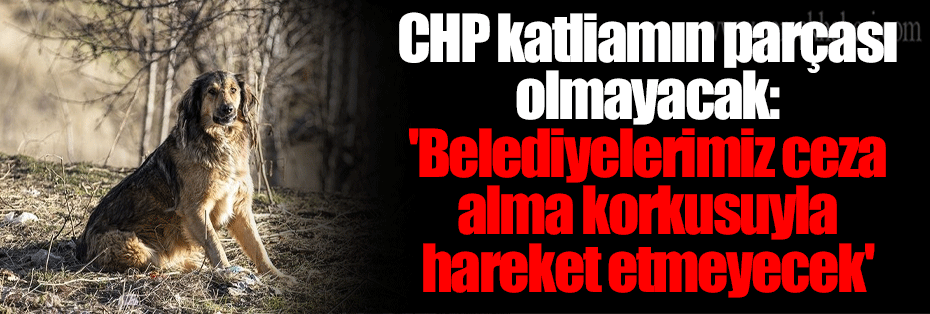 CHP katliamın parçası olmayacak: 'Belediyelerimiz ceza alma korkusuyla hareket etmeyecek'