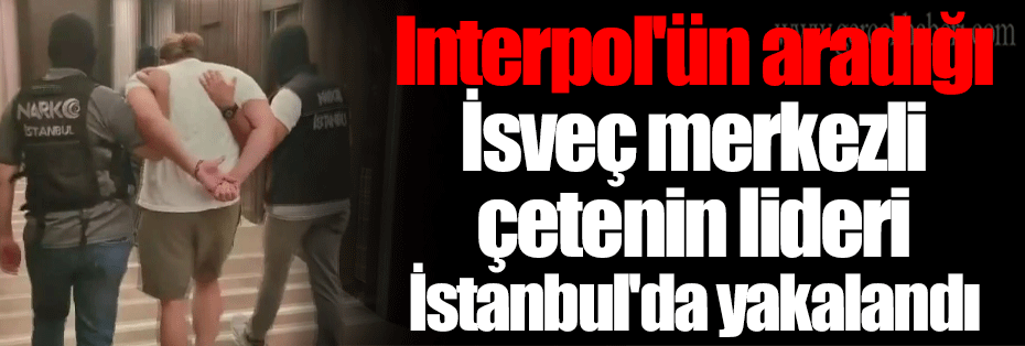 Interpol'ün aradığı İsveç merkezli çetenin lideri İstanbul'da yakalandı